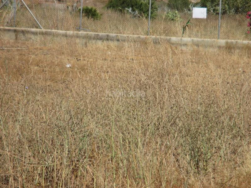 Foto 27440c71-7881-4f6d-a89b-573d62ec27ba. Residential plot in Roche Conil de la Frontera