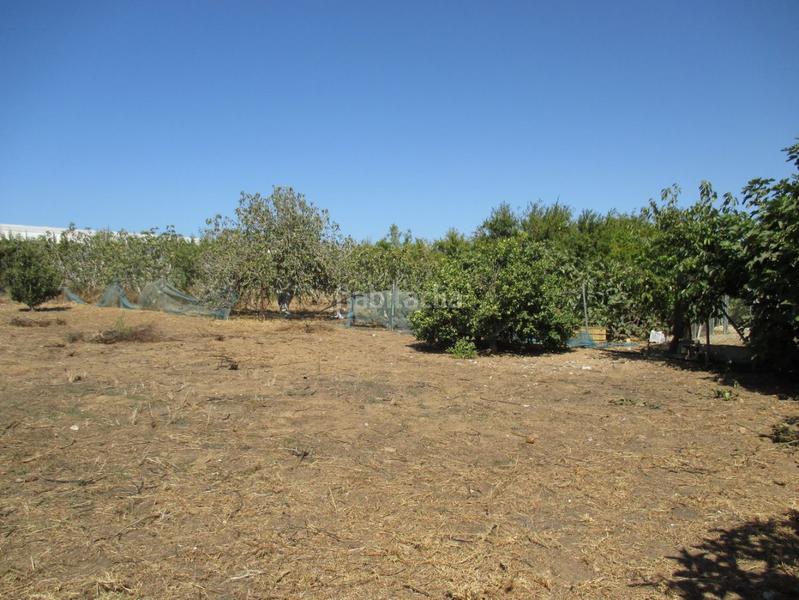 Foto 65e0f0f7-eaba-4da7-a612-b3936c458beb. Residential plot in Roche Conil de la Frontera