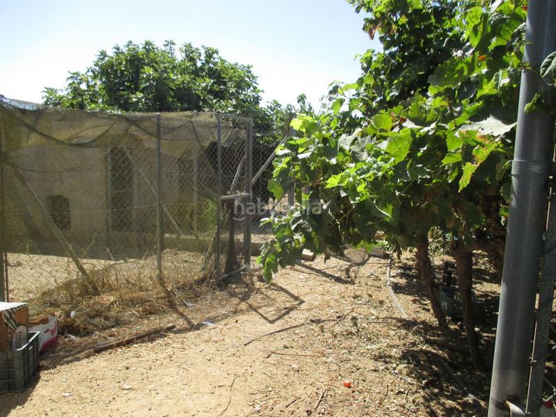 Foto 7169d9f8-be9c-45db-9b01-e56c508676a9. Residential plot in Roche Conil de la Frontera