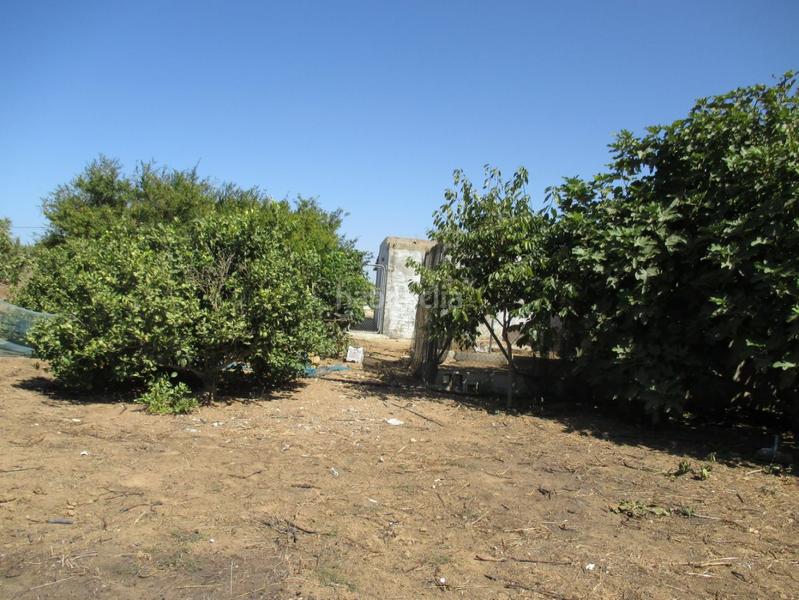 Foto 90b64379-8573-4172-b45d-ea14140b8587. Residential plot in Roche Conil de la Frontera