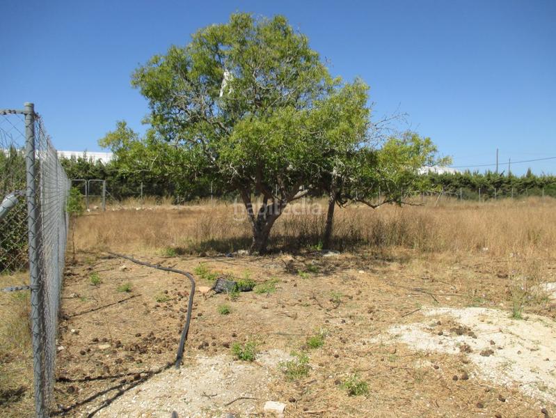 Foto 929b6720-b0e6-464b-8629-609eda2c48ca. Residential plot in Roche Conil de la Frontera