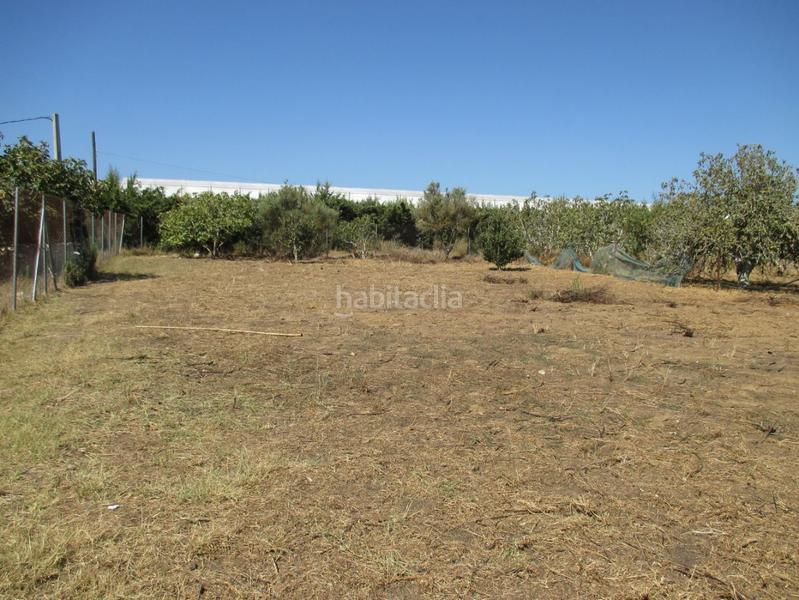 Foto 9fb3d85d-8775-4960-b64b-bc873c1875a5. Residential plot in Roche Conil de la Frontera