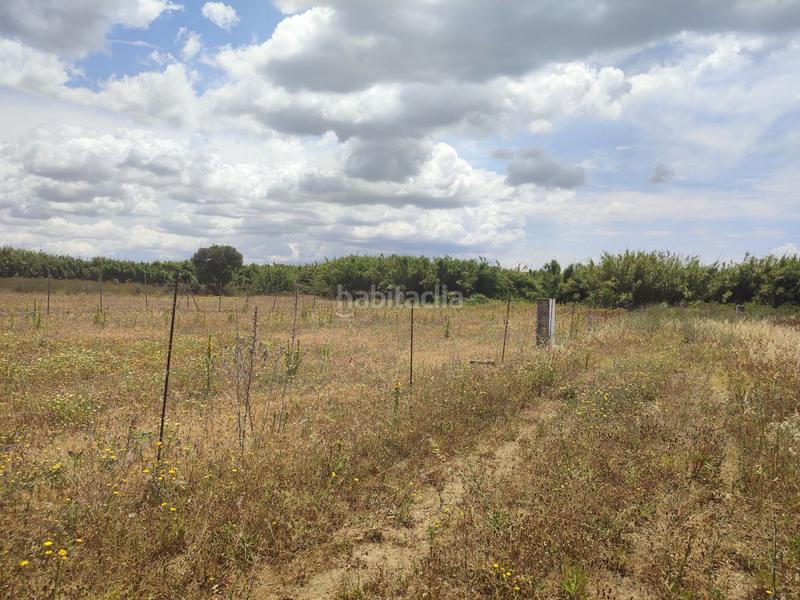 Foto 3de59350-9012-43c9-854a-31ec3574f315. Wohngrundstück in Conil Conil de la Frontera