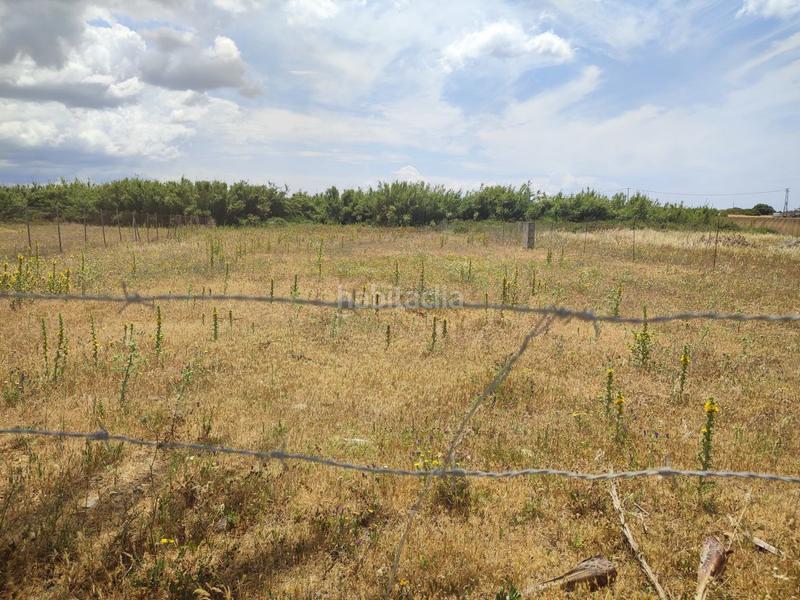 Foto 629a0c24-d8f6-42b1-b4fb-80445c80a616. Wohngrundstück in Conil Conil de la Frontera