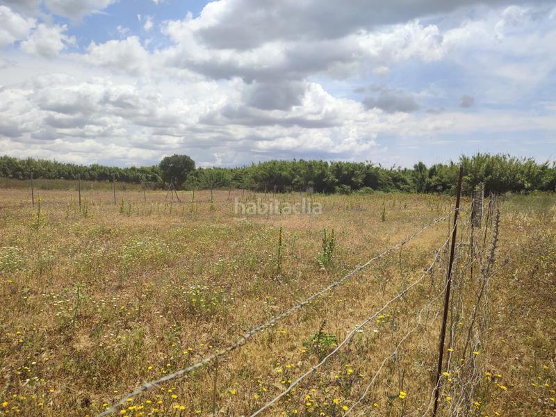 Foto 990f298c-c34d-4928-98c3-da638de8d218. Wohngrundstück in Conil Conil de la Frontera