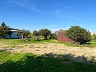 Terreny residencial a Pelagatos - Pago del Humo. Parc. rúst. en venta en chiclana de la frontera.