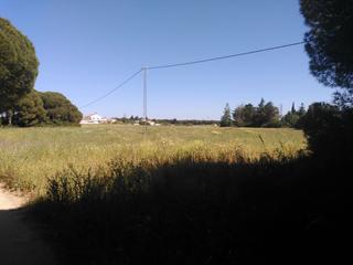 Finca rústica a Roche. Parc. rúst. en venta en majadales de roche.