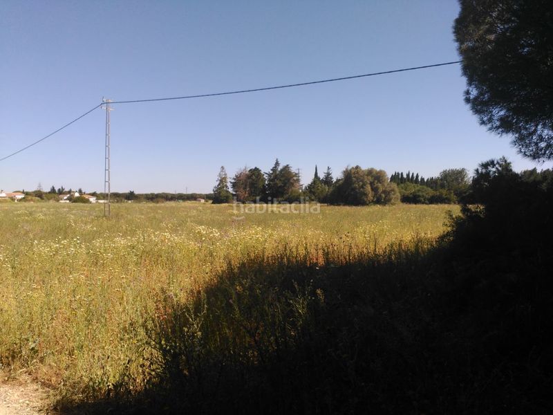 Foto 6aa53877-0235-4447-a528-0b470b4d623c. Terreny residencial a Roche Conil de la Frontera