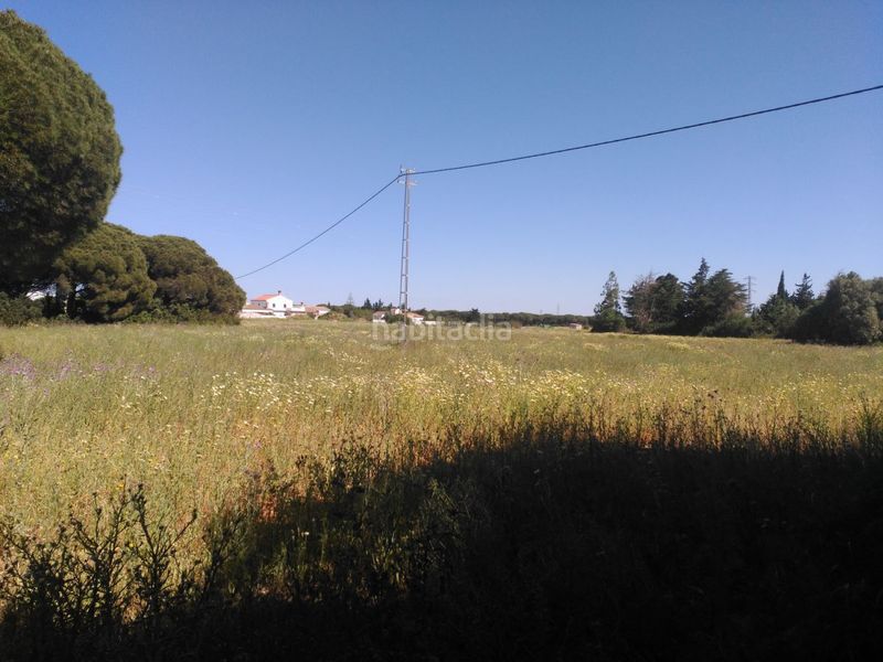 Foto e20b3310-6502-4760-8e56-e23a21c59a53. Terreny residencial a Roche Conil de la Frontera