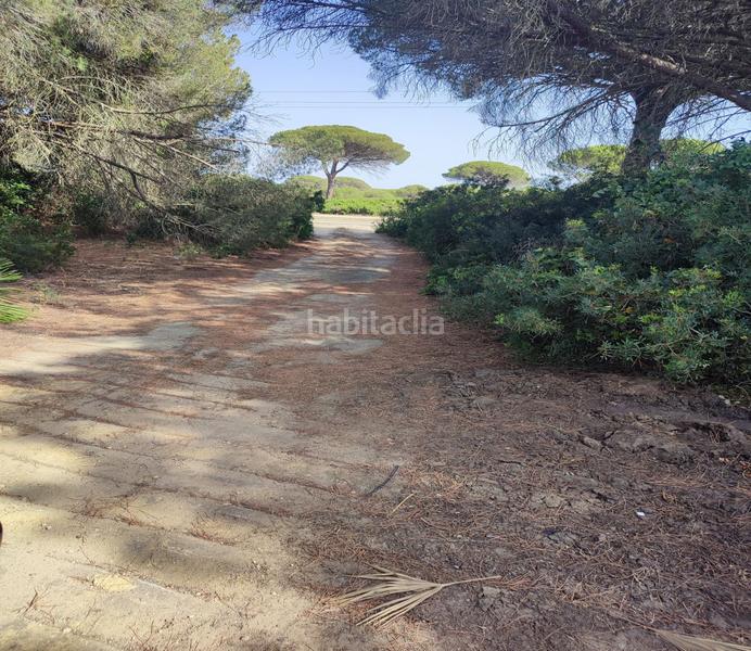 Foto 1156bd4e-2bd9-429b-9823-e50323d6c84f. Terreno residencial parc. rúst. en venta en Roche. en Conil de la Frontera