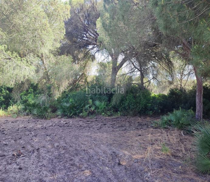 Foto 19180906-2f6c-46ee-9e3d-e84315d9b223. Terreno residencial parc. rúst. en venta en Roche. en Conil de la Frontera