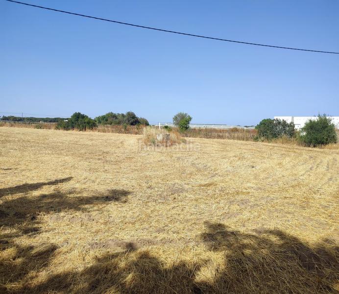 Foto 1f9e591f-2c59-4d70-8175-3175851089a1. Terreno residencial parc. rúst. en venta en Roche. en Conil de la Frontera