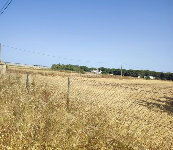 Foto 3ad18c09-7f31-4477-98a2-592c50cd0553. Terreno residencial parc. rúst. en venta en Roche. en Conil de la Frontera