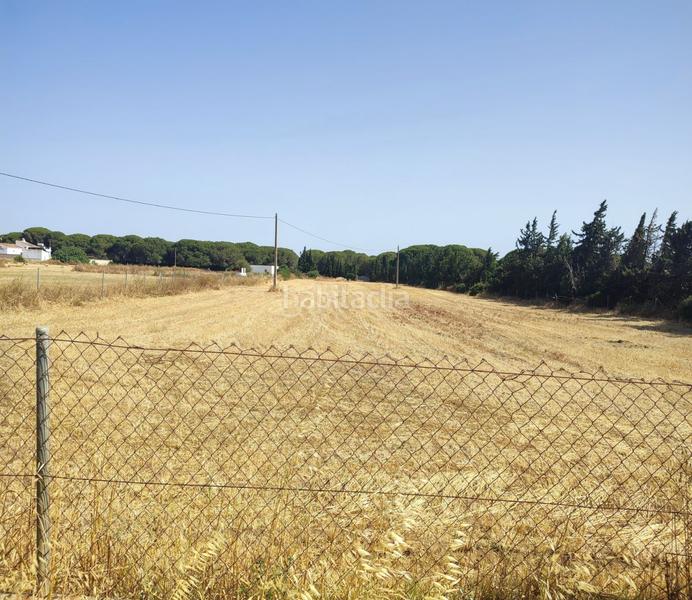 Foto 9a679306-53ac-4835-b344-d2b2cee3a1ab. Terreno residencial parc. rúst. en venta en Roche. en Conil de la Frontera