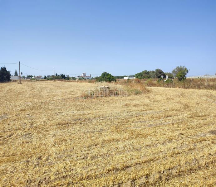 Foto af5977b8-49c7-47c1-a90c-d1872ef98609. Terreno residencial parc. rúst. en venta en Roche. en Conil de la Frontera