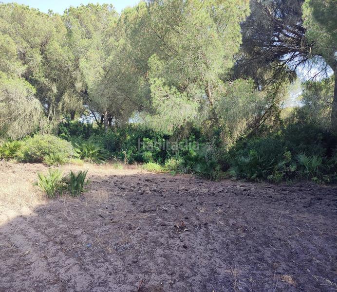 Foto bc7103bf-6fe4-4052-aef4-f7ceb916c95a. Terreno residencial parc. rúst. en venta en Roche. en Conil de la Frontera