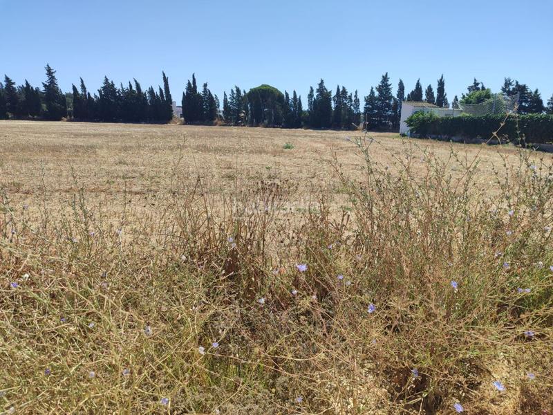 Foto a4658050-998c-4823-81f1-acae920bdd13. Terreno residenziale in Roche Conil de la Frontera