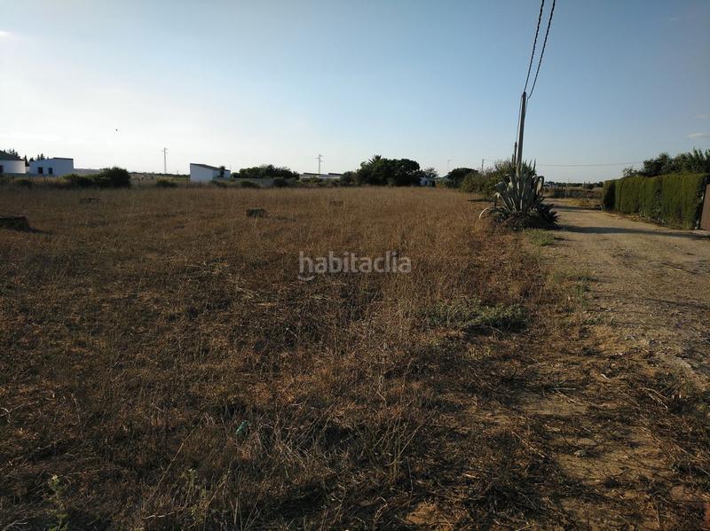 Foto 13abf353-6ab8-438e-9414-8dba4a3f7bd5. Terreny residencial a Roche Conil de la Frontera