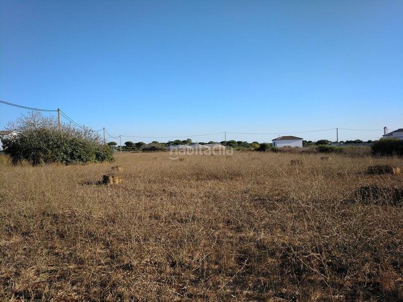 Foto a269a5c4-0bf0-4a0d-a0e6-c587107bdd88. Terreny residencial a Roche Conil de la Frontera