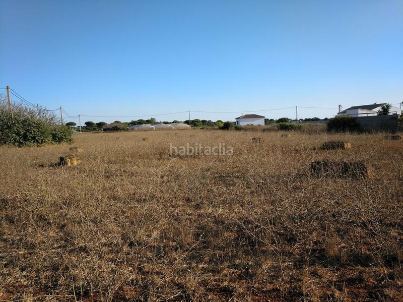 Foto d822699f-bee5-411a-9a9e-7e9d4fbf2249. Terreny residencial a Roche Conil de la Frontera