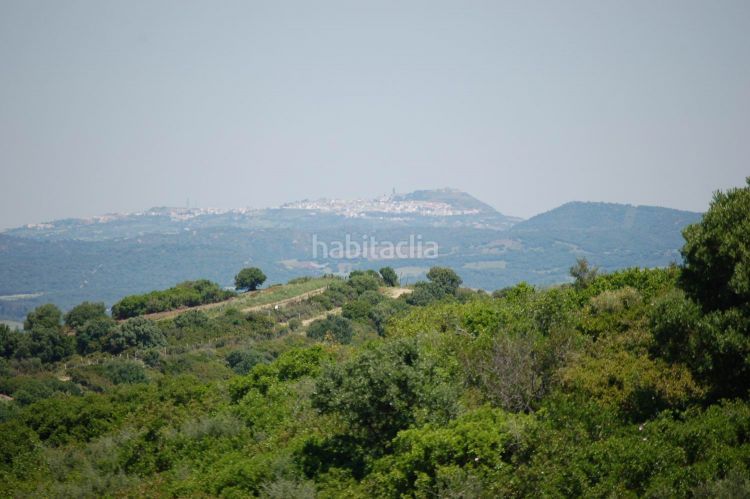 Foto 1bd8f790-51a1-42fc-a774-fc90e285c503. Terreny residencial a La Muela Vejer de la Frontera