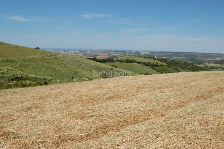 Foto 3255b6c4-070e-4960-b605-afc31394d2a1. Terreny residencial a La Muela Vejer de la Frontera