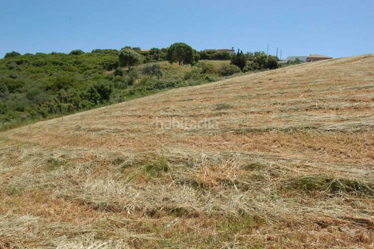 Foto fb90075c-b8b4-4648-87f1-9da63e2179b4. Terreny residencial a La Muela Vejer de la Frontera