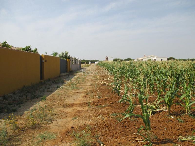 Foto 06189cb1-93b9-4d73-af35-3fcf80884b91. Residential plot in Roche Conil de la Frontera