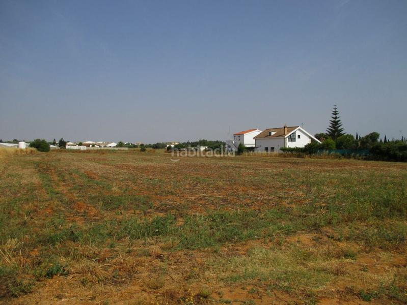 Foto 19597cf0-13da-46ba-902e-61a31f35342a. Residential plot in Roche Conil de la Frontera