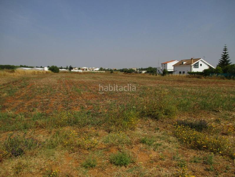 Foto ed884eca-21ea-4509-b4d7-f06f72851b3c. Residential plot in Roche Conil de la Frontera