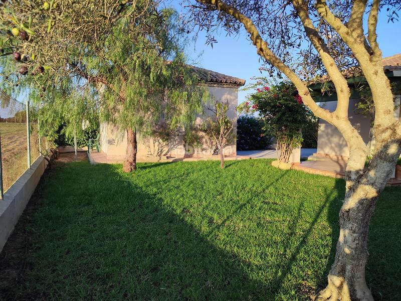 Foto 029074e5-3207-4386-8876-8fbe3a00912d. Xalet amb aparcament a Roche Conil de la Frontera