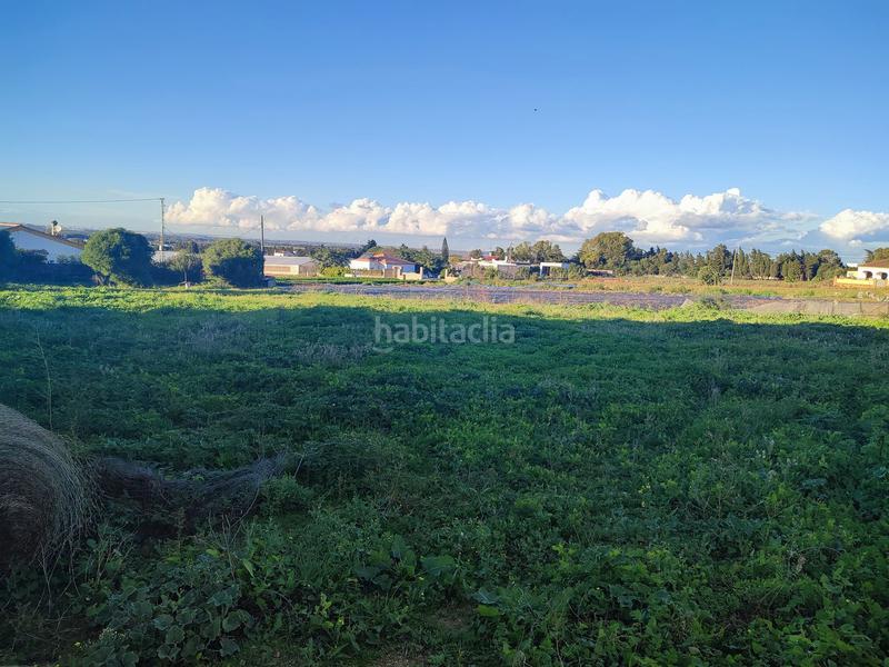 Foto 68061d49-4811-40ee-9fb3-416095b8e190. Terreno residenziale in Barrio Nuevo Conil de la Frontera