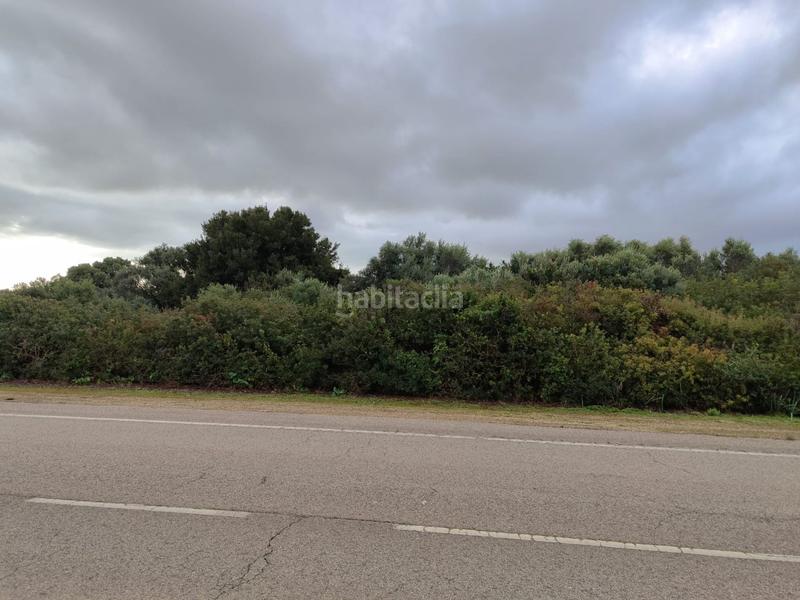 Foto 3c601d6b-f119-4c2c-a721-96476d317c96. Terreny residencial a Roche Conil de la Frontera