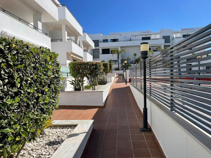 Foto 668dd466-71c6-4643-945a-bfc3639efb15. Alquiler apartamento  en alquiler en cañada honda, 3 dormitorios. en Conil de la Frontera
