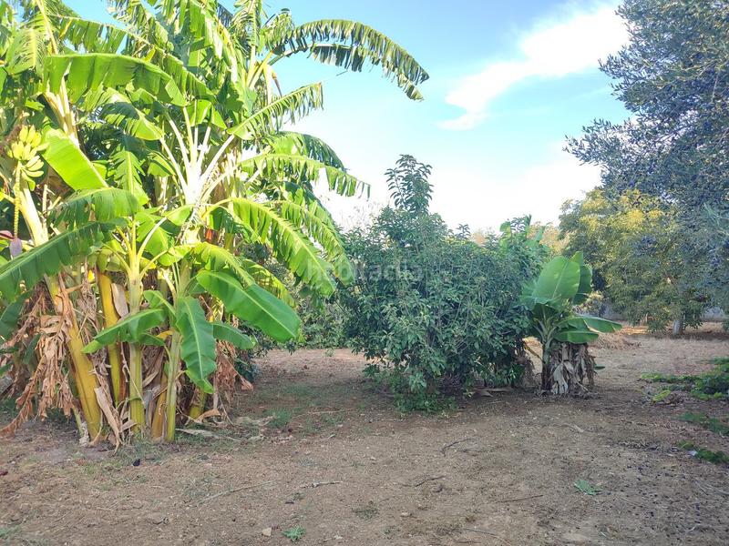 Foto 5ecd388b-7931-4d67-bb1a-bfbde22ed8b4. Chalet in Barrio Nuevo Conil de la Frontera