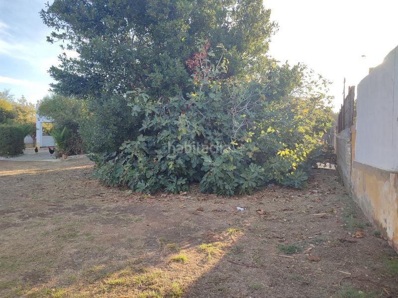 Foto c84e7068-410b-4da4-b339-1bc71bafd8dc. Chalet in Barrio Nuevo Conil de la Frontera