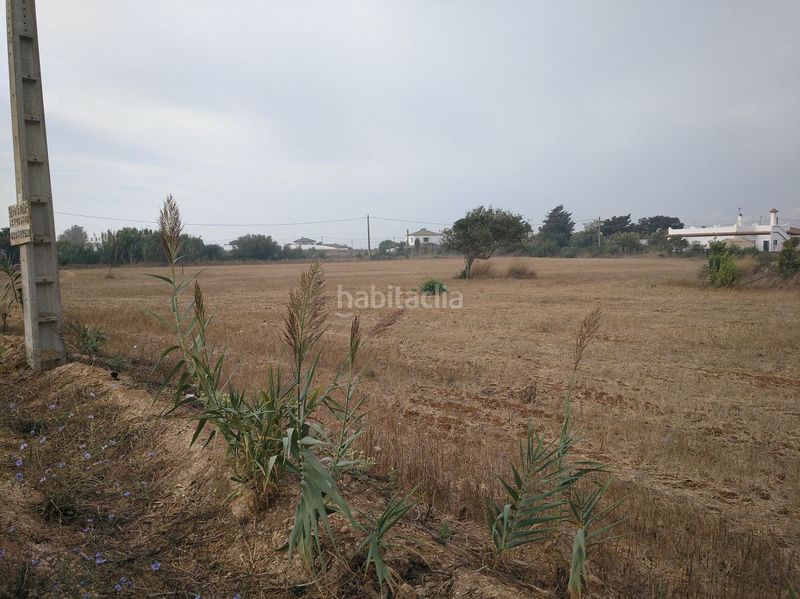 Foto 8e3a600a-629d-4873-8ea5-bcaf41cbca59. Masia a Barrio Nuevo Conil de la Frontera