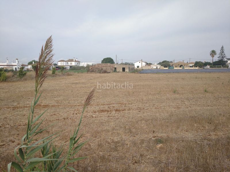 Foto 9b348342-ca31-4f68-9b4b-17c470c105de. Masia a Barrio Nuevo Conil de la Frontera