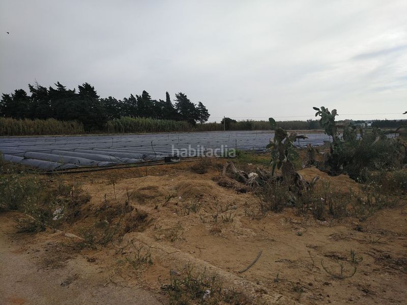 Foto fd1e11be-e473-4ba3-a8ac-ff26ca7618f9. Masia a Barrio Nuevo Conil de la Frontera