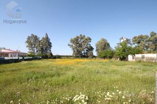 Terrain résidentiel à Carmona. Parcela en venta en carmona.