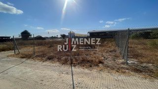 Rural plot in Cuatro Pinos - El Carmen