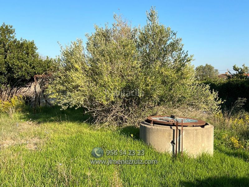 Foto 07eda524-7916-4812-9a2b-35e598c45466. Finca rústica a Carretera de Sanlúcar - Sudamérica Puerto de Santa María (El)