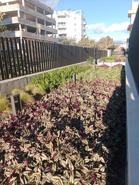 Foto 31c5908a-9f5f-423b-a4bb-ee09227a935d. Lloguer pis amb aparcament piscina a Poniente-Faro Torre del Mar