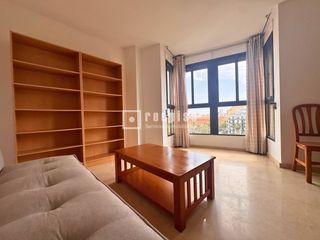 Lloguer Pis  Plus ultra