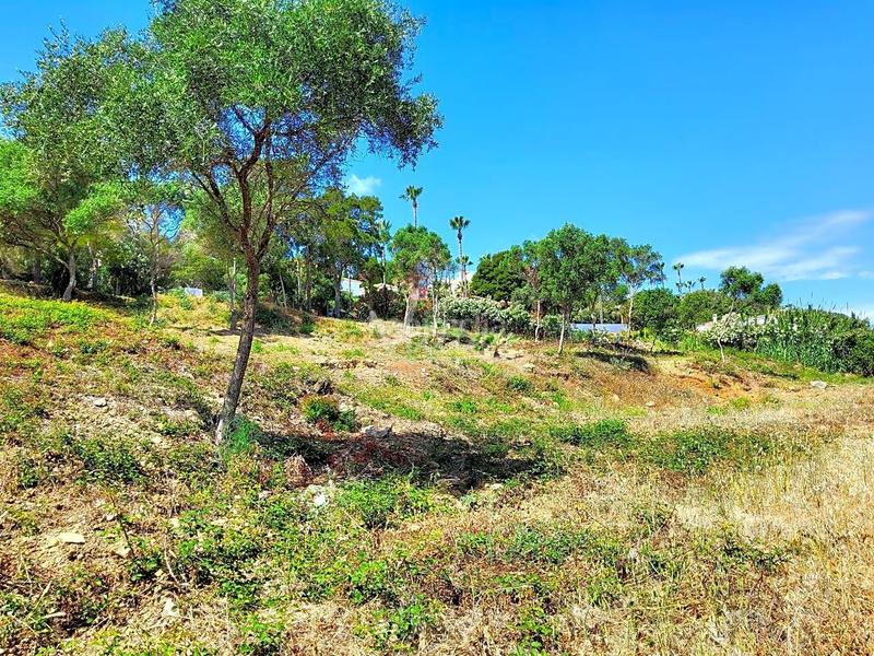 Foto b01c8953-6626-49fe-ace2-8bc51e59e340. Fondo rustico in Sotogrande alto Sotogrande