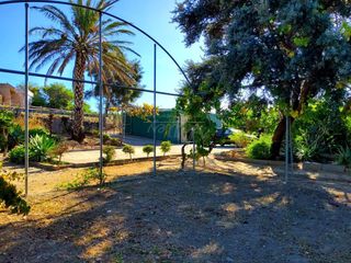 Rural plot in San Enrique-Guadiaro-Pueblo Nuevo. Venta de magnifica finca rústica de 10.158 m2.
