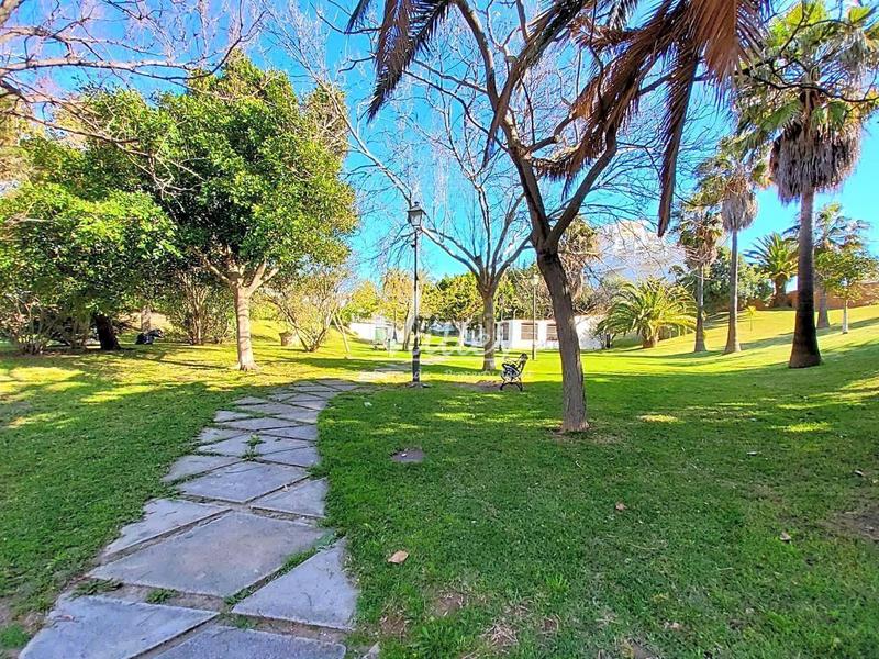 Foto 6d72a9f4-5867-4ae4-be08-43aba2f221a7. Alquiler piso alquiler apartamento en torreguadiaro en Sotogrande
