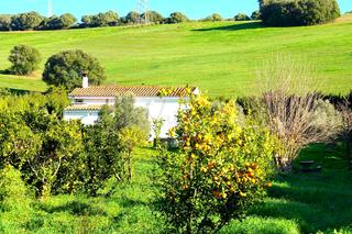 Proprit en San Roque Pueblo. Venta de preciosa finca con casa rstica cerca del pinar del rey
