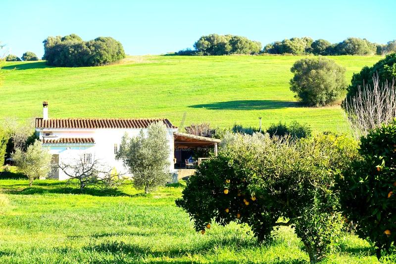 Foto 2dbb59e9-cc40-4f55-8e30-2512297b758f. Propriété dans San Roque pueblo San Roque