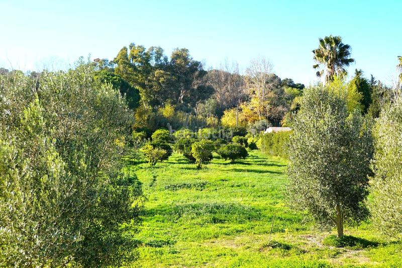 Foto 55d91f4d-bb0c-433b-b8c2-d8eb3e5c4cd4. Propriété dans San Roque pueblo San Roque